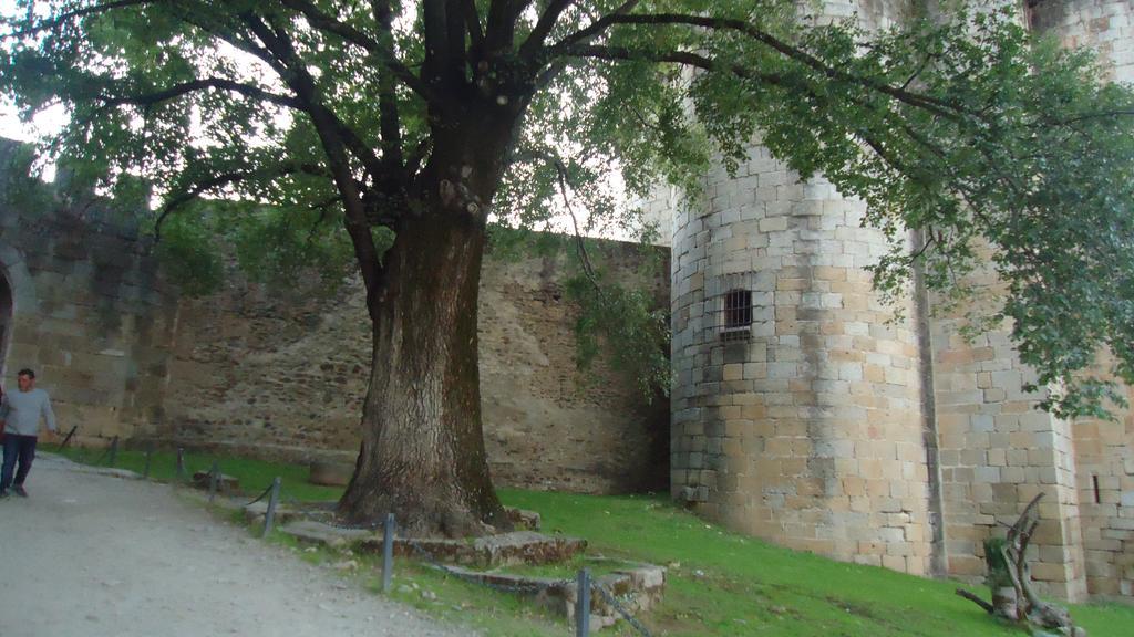 Casas Rurales El Caminante อัลเดอานวยวา เดล กามิโน ภายนอก รูปภาพ